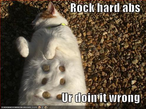 Rock hard abs, ab meme, fitness funny meme, ab picture funny