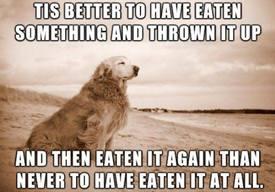 It's better to have eaten something and thrown it up again