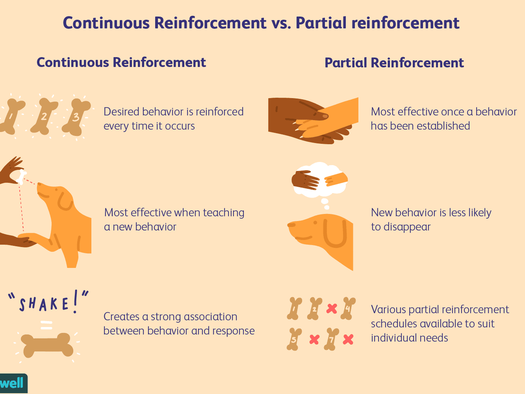 continuous and partial reinforcement positive reinforcement schedules